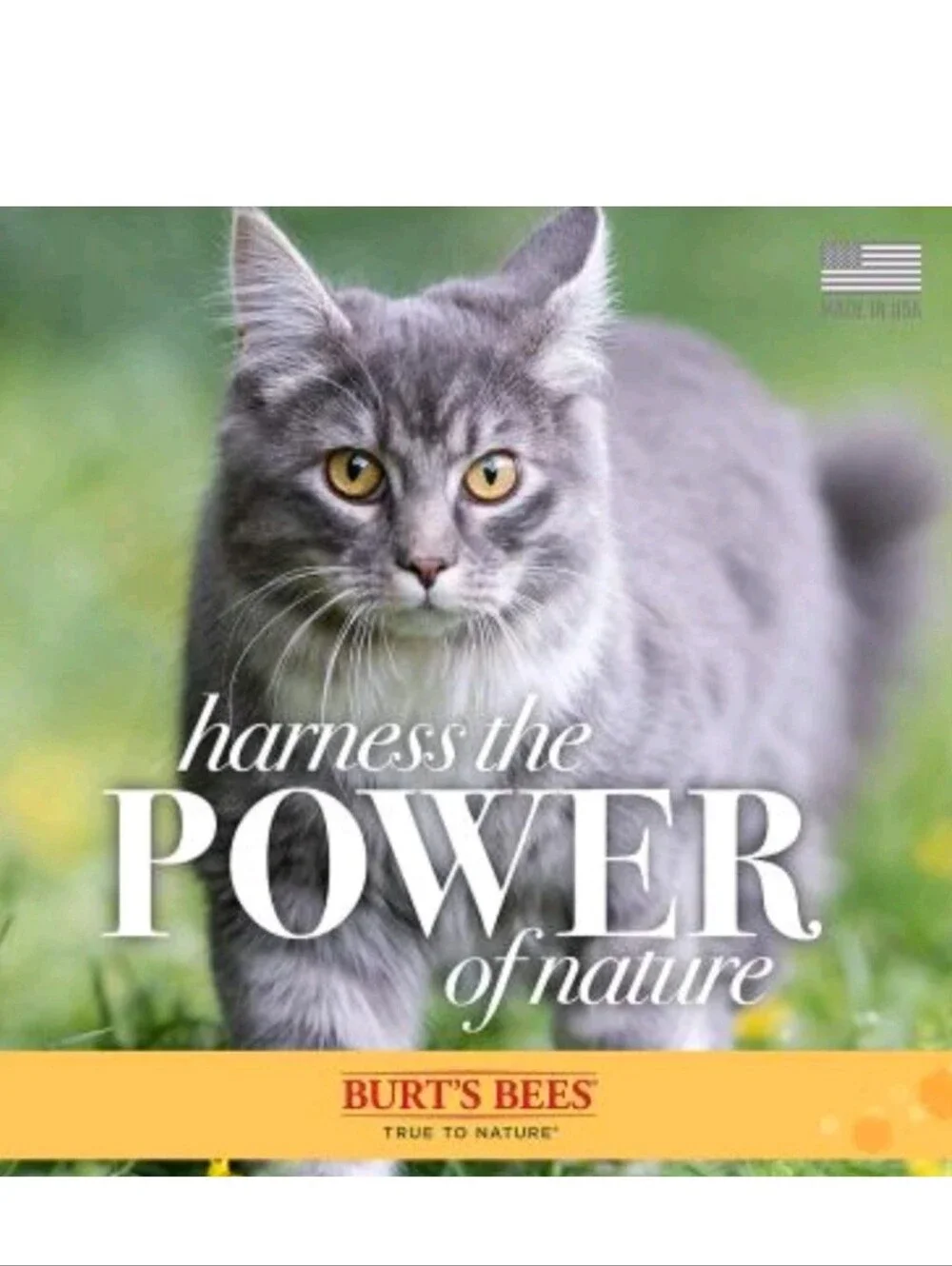 *NEW*Burt's Bees Natural Waterless Dry Shampoo For Cats With Apple & Honey 10 oz
